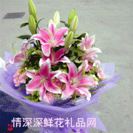 北京鲜花,粉霞满天