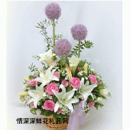 上海鲜花,美丽心情