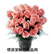 ,24 pink ROSES