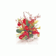 印度,火鹤花束