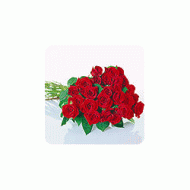 德国,12朵玫瑰