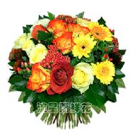 其它国家,金秋时节