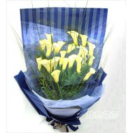 马蹄莲,瞬间