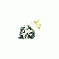 马来西亚,百合花束--白色恋情