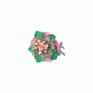 马来西亚,玫瑰花束--罗曼蒂克